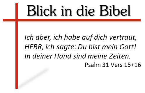 Blick_in_die_Bibel_11_2025